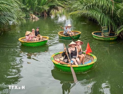 Những chiếc thuyền thúng tròn bằng tre, nhỏ gọn và linh hoạt, đưa du khách len lỏi qua những con rạch giữa rừng dừa nước, khám phá cảnh quan sông nước và cảm nhận nhịp sống bình dị của cư dân địa phương. (Ảnh: Khánh Hòa/TTXVN)
