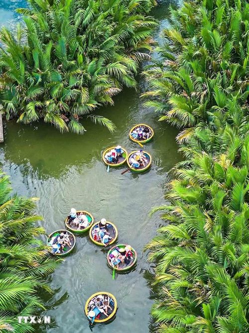 Những chiếc thuyền thúng len lỏi giữa rừng dừa nước, đưa du khách khám phá vẻ đẹp xanh mát của vùng sông nước và trải nghiệm nét văn hóa bản địa. Hình thức du lịch độc đáo này góp phần tạo nên sức hút riêng cho Rừng dừa Bảy Mẫu. (Ảnh: Khánh Hòa/TTXVN)
