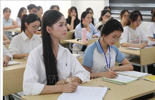 Đỗ Thị Thảo hiện là sinh viên năm cuối Khoa Sư phạm Tiểu học - Mầm non, Trường Đại học Hoa Lư, tỉnh Ninh Bình.