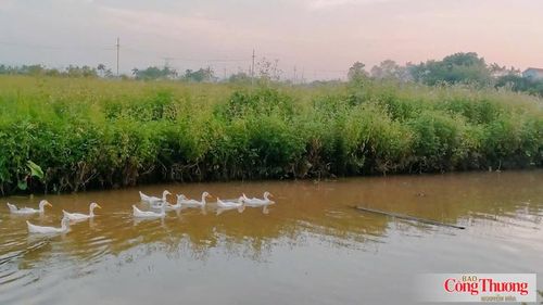 Vệ tinh sẽ cung cấp dữ liệu khi thấy một khu vực có lượng phát thải mê-tan cao bất thường.