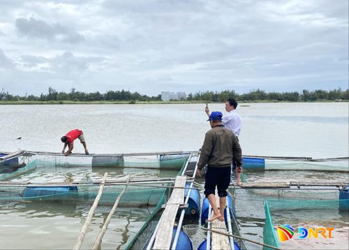 Hội viên Tổ hội nghề nghiệp nuôi cá lồng bè trên sông ở thôn Trà Đông (xã Nam Phước) chăm sóc cá tại các lồng bè. Ảnh: LAM PHƯƠNG