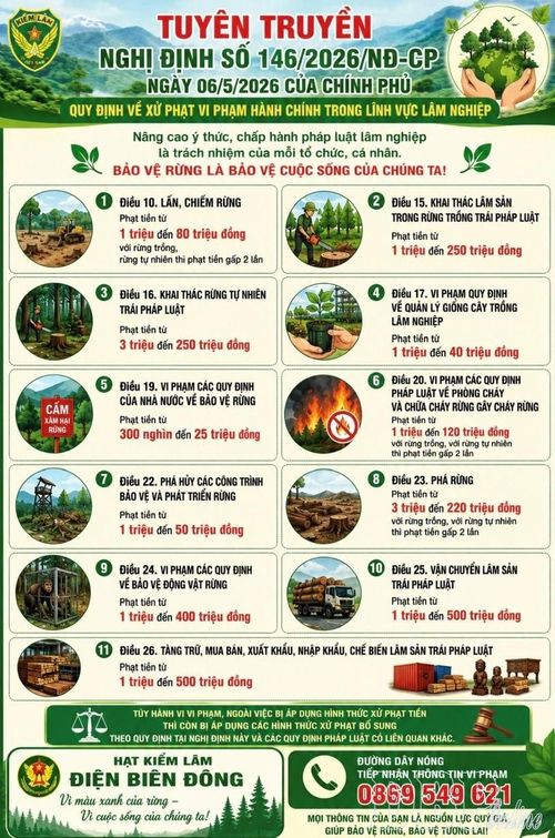 Lực lượng kiểm lâm thiết kế các tờ rơi về quy định mới của Nghị định số 146/2026/NĐ-CP tuyên truyền cho người dân.