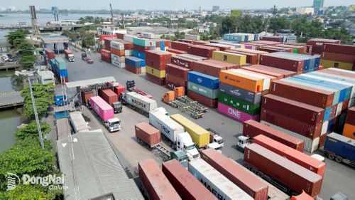 Hoạt động xuất nhập khẩu hàng hóa tại Cảng Đồng Nai. Ảnh: Ngọc Liên