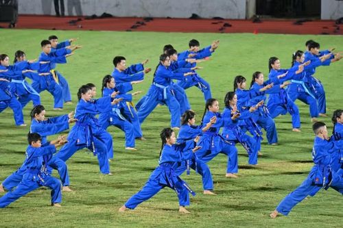 Biểu diễn võ thuật. Ảnh: Đức Thụy