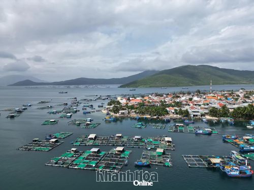 Xã Đại Lãnh có nhiều tiềm năng để phát triển nuôi trồng thủy hải sản công nghệ cao.