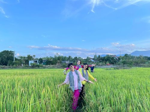 Vào mùa lúa là lúc bạn có thể săn được nhiều ảnh đẹp.