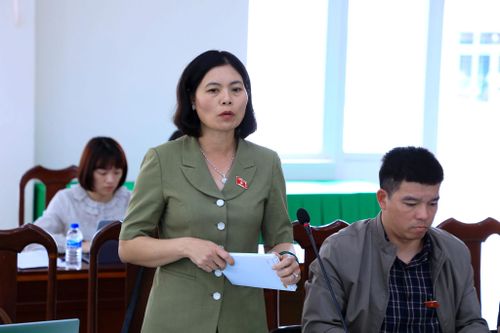ĐBQH Trần Thị Oanh, Phó Chủ tịch Hội Nông dân tỉnh đề nghị mở thêm hướng sinh kế cho người dân