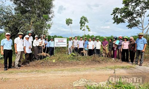 Các đại biểu tham quan mô hình thâm canh giống sắn kháng bệnh khảm lá HN1 tại thôn Tân Mỹ, phường Quảng Trị - Ảnh: L.A