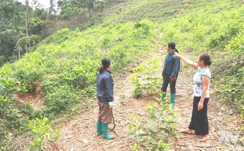 Bà Nguyễn Thị Bình (bên phải), thôn 3, xã Nà Phặc cho rằng, phần đất gia đình canh tác có nguồn gốc từ trước khi thành lập lâm trường, nay nằm trong diện tích do Công ty TNHH Một thành viên Lâm nghiệp Bắc Kạn quản lý.