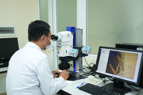 Chi cục Kiểm định hải quan 11