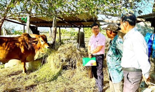 Từ những khoản vay ưu đãi được đưa về tận thôn, xã, nhiều hộ nghèo và đồng bào dân tộc thiểu số ở Khánh Hòa đã có thêm điều kiện phát triển sản xuất, ổn định sinh kế.