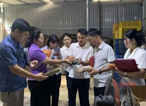 Đoàn công tác kiểm tra việc sử dụng nhãn hiệu và biểu trưng OCOP đối với sản phẩm bún khô ngũ sắc của hộ kinh doanh Thủy Trang. 