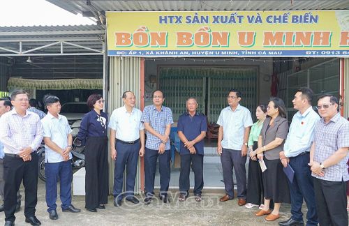 Đoàn khảo sát tham quan HTX sản xuất và chế biến Bồn bồn U Minh Hạ.