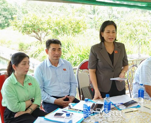 Bà Vũ Hồng Như Yến, Trưởng Ban Kinh tế - Ngân sách, HĐND tỉnh Cà Mau, phát biểu tại buổi làm việc.