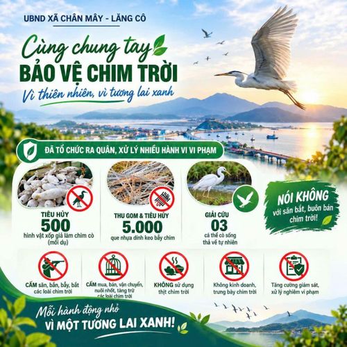 Bảo vệ chim trời hôm nay chính là góp phần bảo vệ môi trường sống cho thế hệ mai sau.