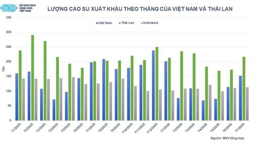 Lượng cao su xuất khẩu theo tháng của Việt Nam và Thái Lan. Nguồn: MXV