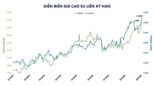 Diễn biến giá cao su liên kỳ hạn. Nguồn: MXV