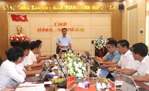 Chủ nhiệm Ủy ban Kiểm tra Thành ủy Trần Đình Cảnh phát biểu kết luận cuộc làm việc. Ảnh: Hoàng Sơn