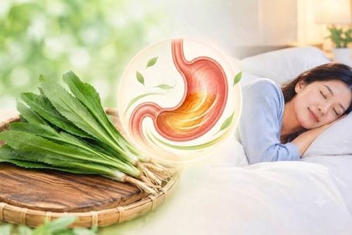 Rau mùi tàu (ngò gai) không chỉ làm gia vị tăng hương vị cho món ăn, mà còn được dùng với mục đích hỗ trợ điều hòa chức năng tiêu hóa, nhất là khi có biểu hiện ăn uống kém, đầy bụng, khó tiêu.