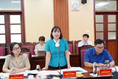Đại biểu phát biểu tại buổi giám sát. Ảnh: PV