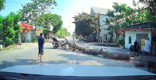 Hiện trường nơi cây xà cừ bất ngờ đổ xuống đường, khiến một người đi xe máy tử vong. Ảnh cắt từ clip