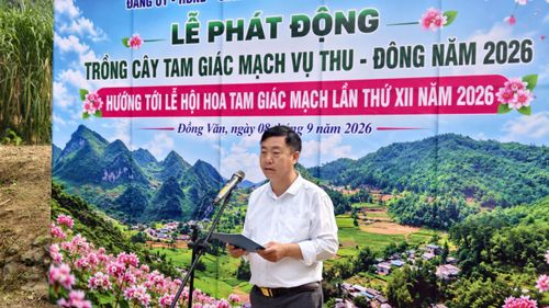 Lễ phát động trồng cây tam giác mạch vụ Thu - Đông năm 2026, hướng tới Lễ hội Hoa Tam giác mạch lần XII năm 2026. Ảnh: Huy Thông