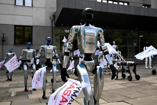 Robot "xuống đường" tại Ba Lan. Ảnh: STRAIT TIMES