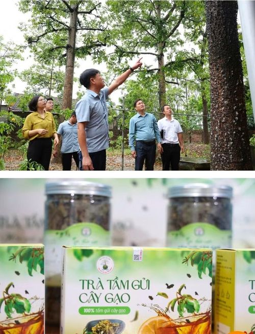 Đưa người dân đi học hỏi các mô hình kinh tế của tỉnh bạn.