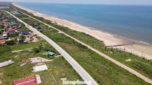 Rừng phi lao dọc tuyến ven biển đến xã Cổ Đạm bị bão tàn phá, nhiều đoạn bị cạo trọc.