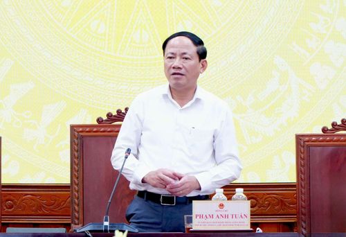  Chủ tịch UBND tỉnh Gia Lai Phạm Anh Tuấn phát biểu tại hội nghị. Ảnh: Kim Loan