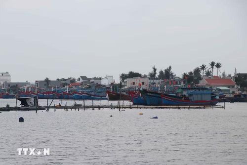 Khu neo đậu tàu cá An Hòa đang được nâng cấp, mở rộng với diện tích rộng 140ha, đảm bảo chỗ neo đậu cho 1.200 tàu cá. (Ảnh: Đoàn Hữu Trung/TTXVN)
