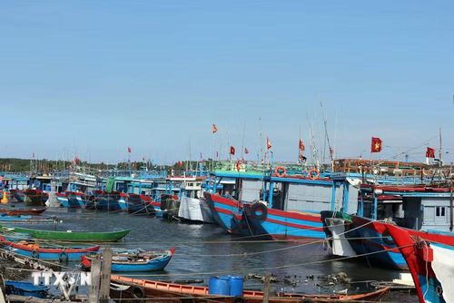 Khu neo đậu tàu cá An Hòa đang được nâng cấp, mở rộng với diện tích rộng 140ha, đảm bảo chỗ neo đậu cho 1.200 tàu cá. (Ảnh: Đỗ Trưởng/TTXVN)