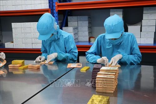 Nhân viên Công ty Trách nhiệm hữu hạn ca cao Xuân Ron Chợ Gạo tại xã Bình Ninh, tỉnh Đồng Tháp, đóng gói sản phẩm.