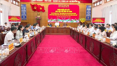Quang cảnh buổi khảo sát.