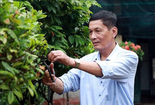 Ông Trần Văn Việt, đảng viên Chi bộ Triệu Thông, xã Hải Hậu (Ninh Bình) gương mẫu, đi đầu phát triển kinh tế.