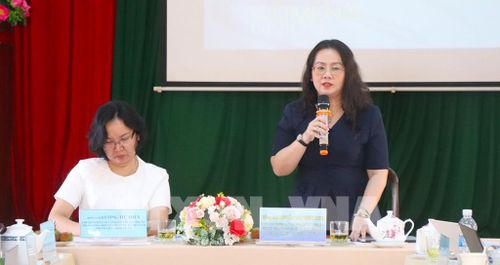 Bà Nguyễn Thị Thùy Linh, Chủ tịch Hội Liên hiệp phụ nữ thành phố Cần Thơ phát biểu tại hội thảo. Ảnh: Nguyễn Hằng - TTXVN