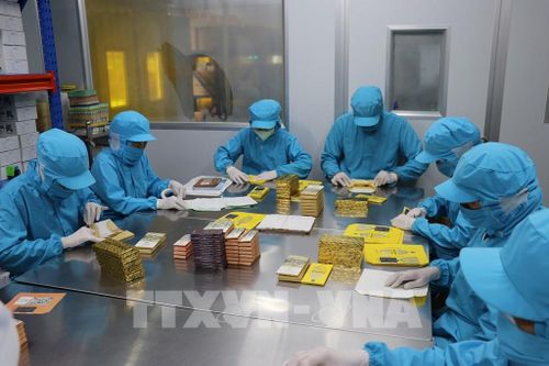 Nhân viên Công ty Trách nhiệm hữu hạn ca cao Xuân Ron Chợ Gạo tại xã Bình Ninh, tỉnh Đồng Tháp đóng gói sản phẩm. Ảnh: Hữu Chí - TTXVN
