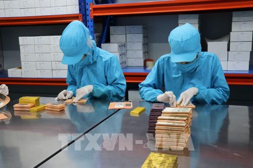 Nhân viên Công ty Trách nhiệm hữu hạn ca cao Xuân Ron Chợ Gạo tại xã Bình Ninh, tỉnh Đồng Tháp, đóng gói sản phẩm. Ảnh: Hữu Chí - TTXVN