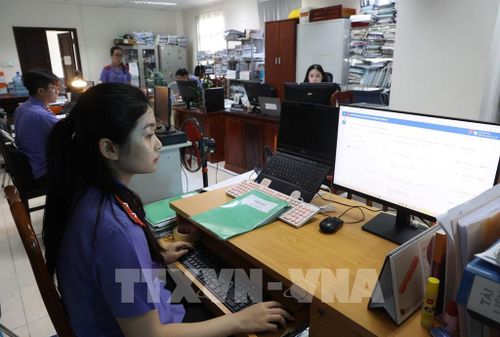Cán bộ, Kiểm sát viên Phòng 1, Viện Kiểm sát nhân dân Thành phố Hồ Chí Minh nghiên cứu, xử lý hồ sơ trên nền tảng điện tử. Ảnh: Hồng Đạt - TTXVN