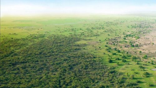 Bức tường xanh vĩ đại. Ảnh: thegreatgreenwall