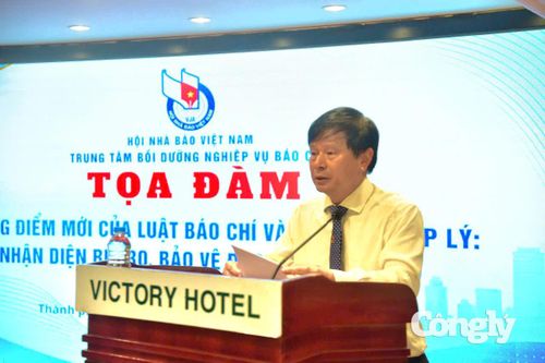 Nhà báo Trần Trọng Dũng - Phó Chủ tịch Hội Nhà báo Việt Nam phát biểu tại tọa đàm.