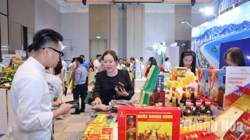 Gian hàng của tỉnh Nghệ An với các sản phẩm OCOP tiêu biểu.