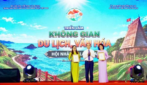  Ban Tổ chức trao giải xuất sắc cho không gian trưng bày của Sở Văn hóa - Thể thao và Du lịch tỉnh Gia Lai, Sở Văn hóa và Thể thao TP. Hồ Chí Minh. Ảnh: D.L 