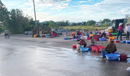  Đơn vị thi công tập trung nhân lực, máy móc đẩy nhanh tiến độ, phấn đấu hoàn thành kè sông An Ngãi (phường An Nhơn Đông) trong tháng 9-2026. Ảnh: V.L 