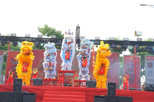 Những sắc màu rực rỡ của các chú lân góp phần tạo nên không khí sôi động tại liên hoan