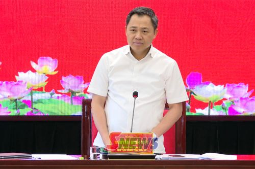 Đồng chí Nguyễn Đình Việt, Phó Bí thư Tỉnh ủy, Chủ tịch UBND tỉnh phát biểu kết luận cuộc làm việc.