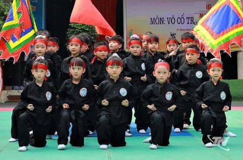 Học sinh Trường Tiểu học Trưng Vương (phường Phan Đình Phùng) trong một thế võ cổ truyền.