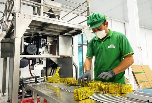 Quy trình đóng gói sản phẩm tại Công ty TNHH Tân Cương Xanh - Chi nhánh Thái Nguyên.
