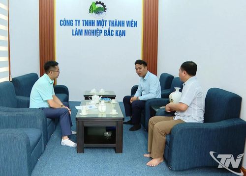 Phóng viên trao đổi với lãnh đạo Công ty TNHH Một thành viên Lâm nghiệp Bắc Kạn về hoạt động của đơn vị và việc tháo gỡ những vướng mắc trong quản lý, sử dụng đất.