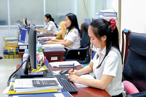 Cán bộ ngành Thuế thành phố Cần Thơ tập trung rà soát, phân loại, chuẩn hóa thông tin mã số thuế. Ảnh: L.Mẫn